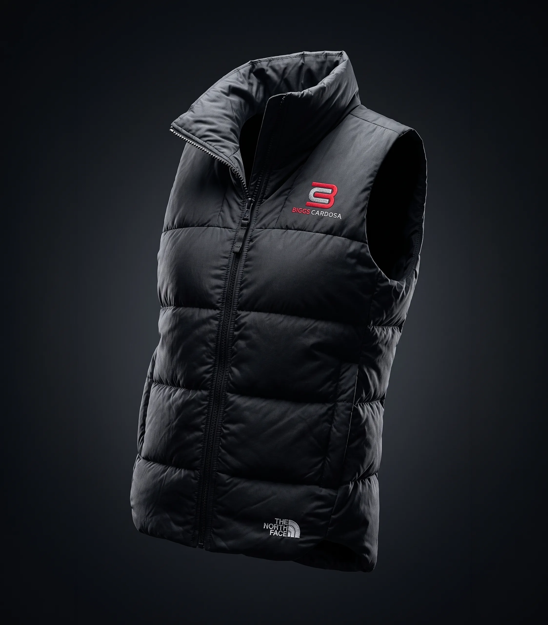 Women's TNF EveryDay Vest